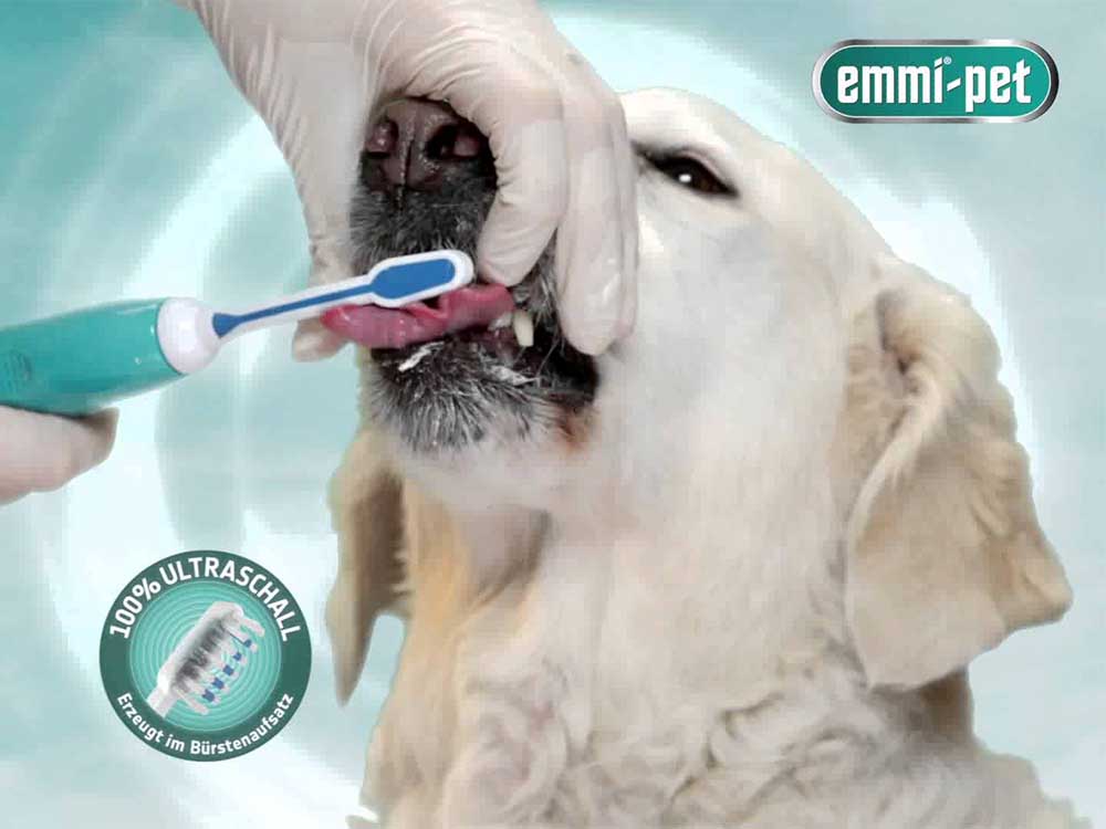 Чистка зубов собакам отзывы. Ультразвуковая зубная щетка Emmi-Pet для домашних питомцев. EMI-Pet.